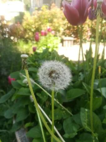 Apartamento Appartamento Lizzano In Belvedere