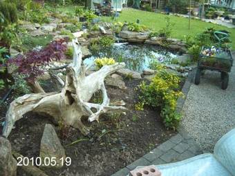 Bed & Breakfast Hillfield House B & B