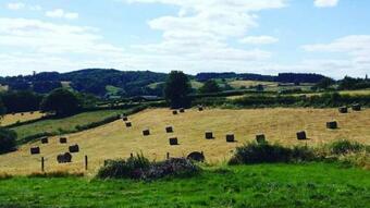 Chambre Campagne Uxelloise