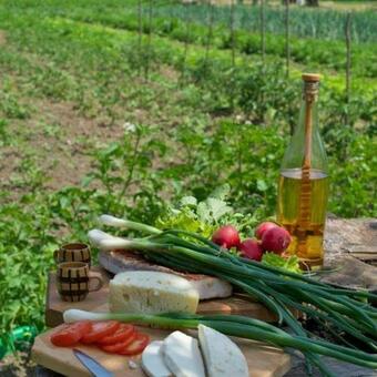 Agroturismo La Vasile La Cazan