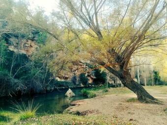 Caba�a De Madera Especial Y Acogedora