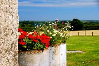 Bed & Breakfast Fig Tree House