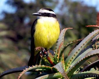 Hotel Marina Punta Colorada