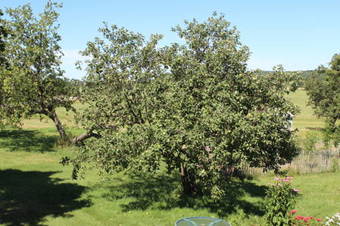 Bed & Breakfast G�te Touristique Pr�s Et Vallons