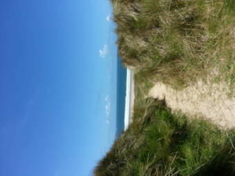 Bed & Breakfast Halwell Lodge