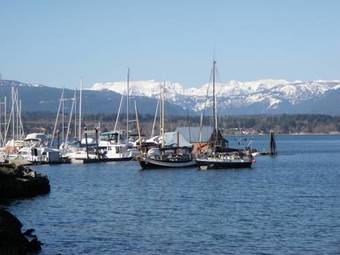 Island Getaway Vacation Rental