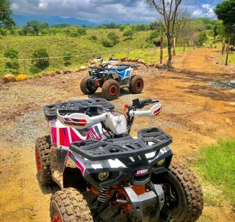 Venadillo Roca S�lida