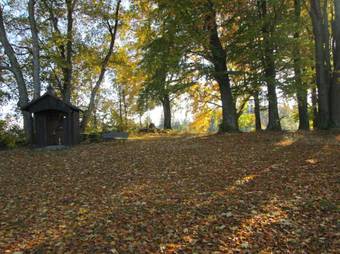 Apartment Am Buchenhain