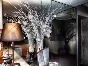 Hotel H�tel Restaurant La Villa Du Lac