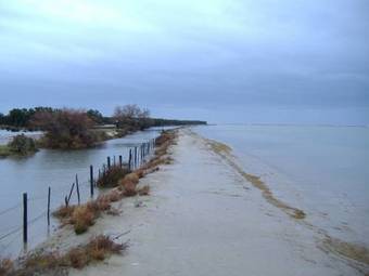 Hotel Mas De Sylvereal