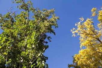 Strayleaves Caravan Park