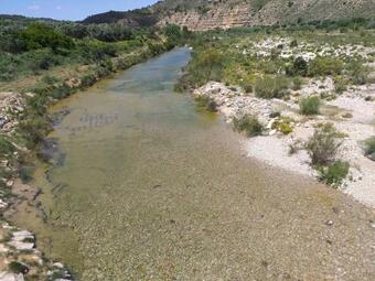 Apartamento La Torre Del Algas