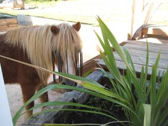 Hostal Quinta De Moledos