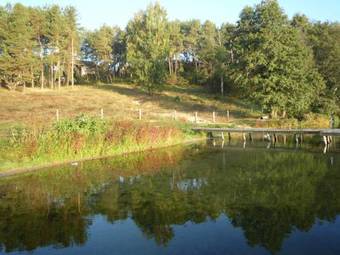 Hostal Pensjon Paradise