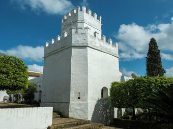 Ver fotos