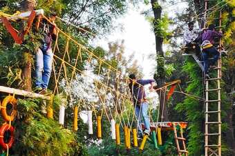 Ver fotos