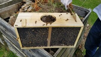 The Farmstand Bed & Breakfast