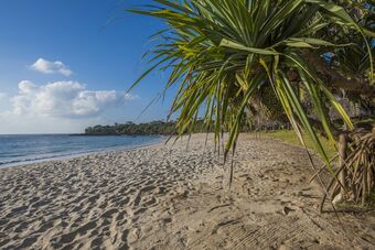 Hotel Amani Beach Resort