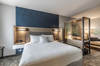 Hotel Springhill Suites By Marriott Detroit Sterling Heights