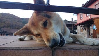 Aparthotel Apartamentos Rurales Balc�n Real