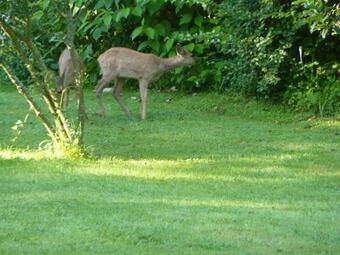 Bed & Breakfast La Belle Relax