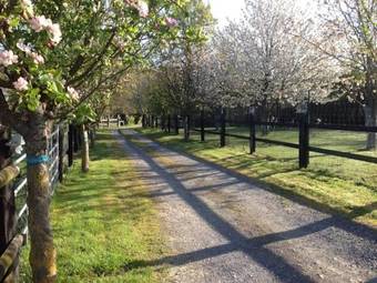 Bed & Breakfast Le Pr� Aux Daims