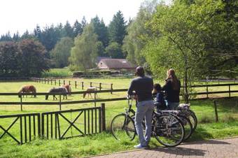 Vakantiepark Hellendoorn