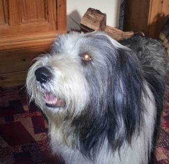 Bed & Breakfast South Newlands Farm