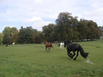 Bed & Breakfast La Grange De Boulaines