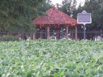 Bed & Breakfast Stevenson Farms-harvest Spa B & B