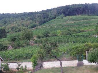 Gite De Mr Et Mme Woinson