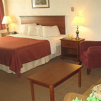 Motel Magnuson Copper Crown