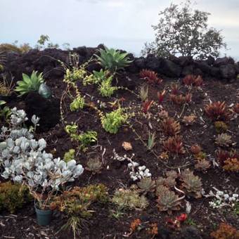 Million Dollar View In Gated Community