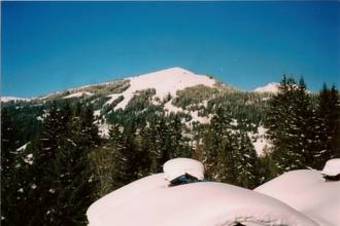 Chalet De Beerenburcht Les Gets