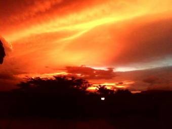 Albergue Sana El Jardin Secreto