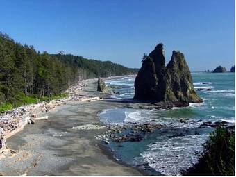 Posada Miller Tree Inn Bed And Breakfast