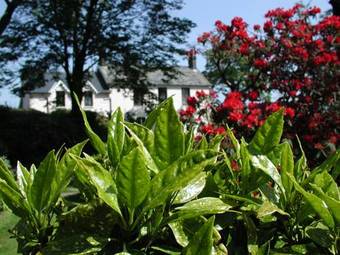 Bed & Breakfast Cefn-y-dre Country House