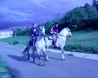 Agroturismo Hostal Las Nieves