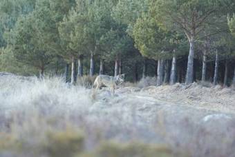 Agroturismo Centro De Turismo Rural Santa Cruz