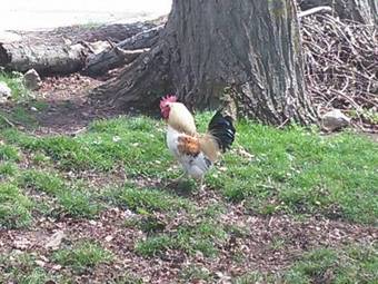 Agroturismo La Casa Del Valle