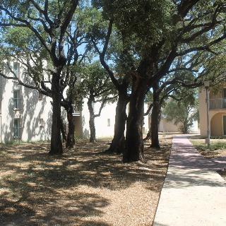 Apartamentos R�sidence Luna