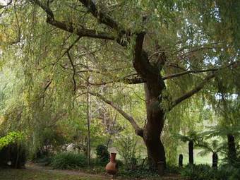 Bed & Breakfast Hilltop