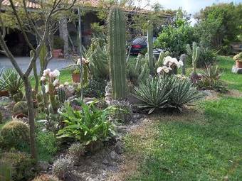 Bed & Breakfast Il Vecchioliveto Di Ornella