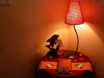 Hotel H�tel Le Dauphin