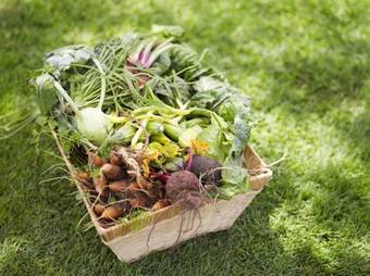 Bells At Killcare Boutique Hotel, Restaurant & Spa