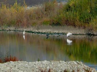 Bed & Breakfast B&amp;b Il Rifugio Del Pellegrino