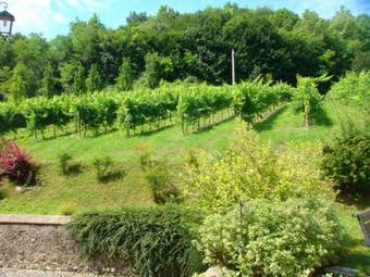 Agroturismo Tenuta Contarini