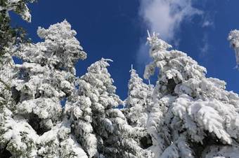 Hotel Le Relais Du Vermont