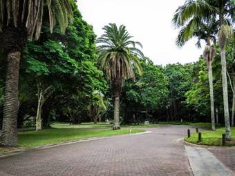 Olive Sunbird Apartments