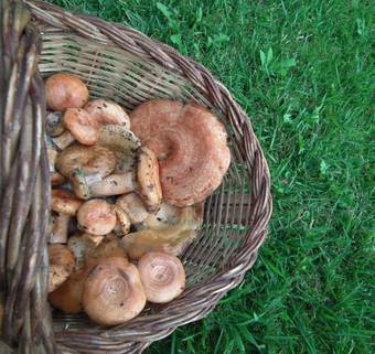 Agroturismo Poble Rural Puig Arnau - Pubill�